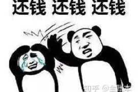 催收打政府沟通话术：高效沟通的艺术